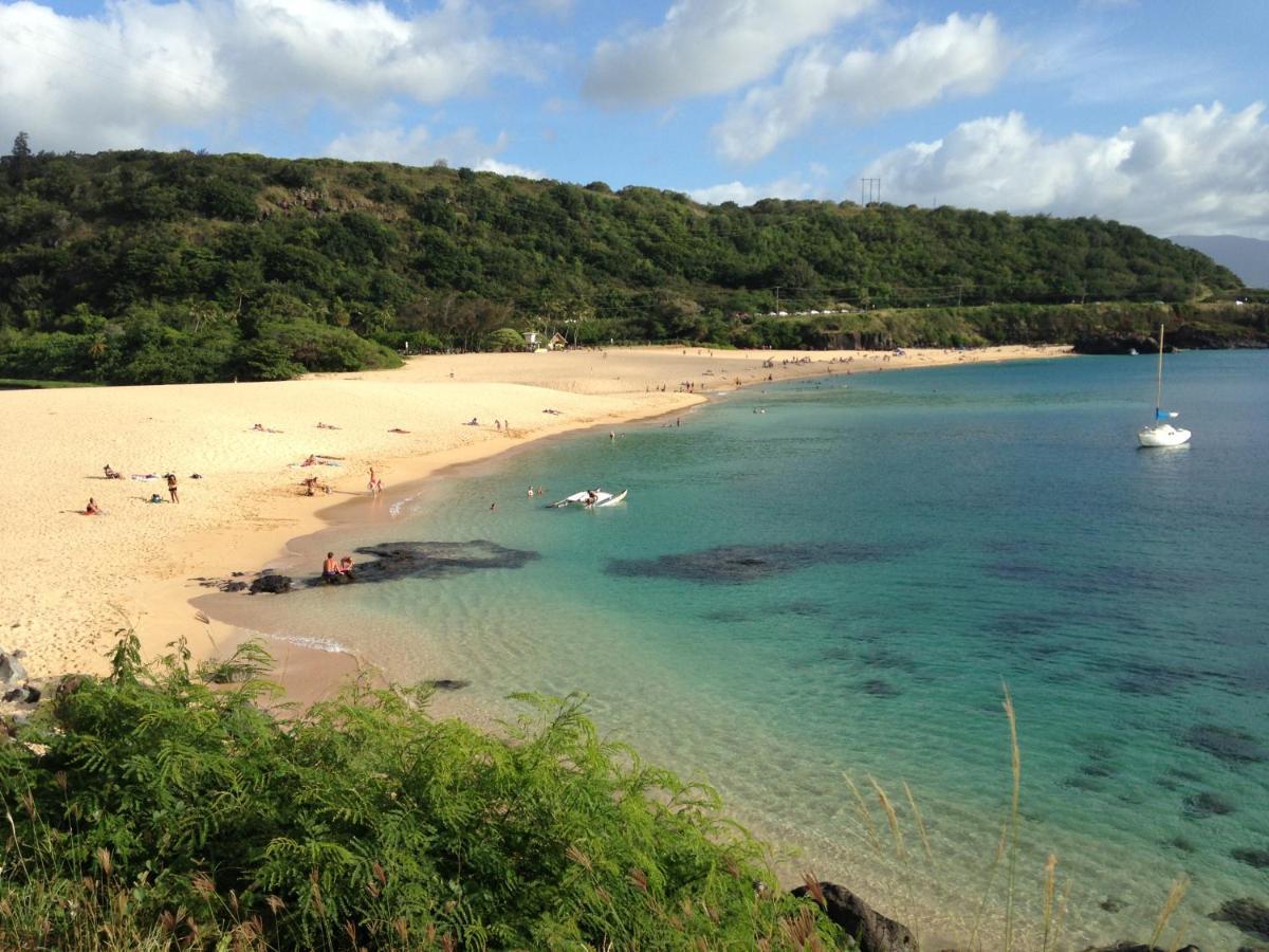 Вілла Waimea Bay Garden Bunglaow Галеіва Екстер'єр фото