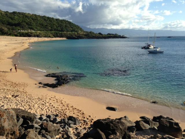 Вілла Waimea Bay Garden Bunglaow Галеіва Екстер'єр фото